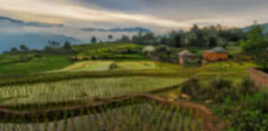 Best of Vietnam : Halong 1 nights and Hanoi 3 nights and Sapa 1 nights